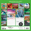 image Amazing Planet Special Value 2025 Wall Calendar