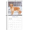 image Golden Retrievers Photo 2026 Wall Calendar_ALT5