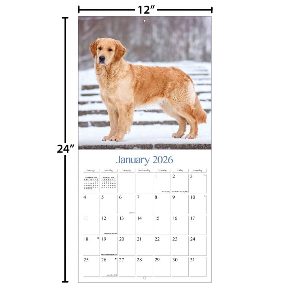 Golden Retrievers Photo 2026 Wall Calendar_ALT5