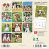 image Cavalier King Charles Puppies 2025 Mini Wall Calendar