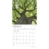 image World&#39;s Greatest Trees 2024 Wall Calendar Second Alternate Image width=&quot;1000&quot; height=&quot;1000&quot;