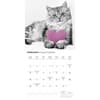 image Classic Cats 2025 Wall Calendar Second Alternate Image width=&quot;1000&quot; height=&quot;1000&quot;