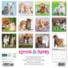 image Kittens and Puppies 2025 Wall Calendar First Alternate Image width=&quot;1000&quot; height=&quot;1000&quot;
