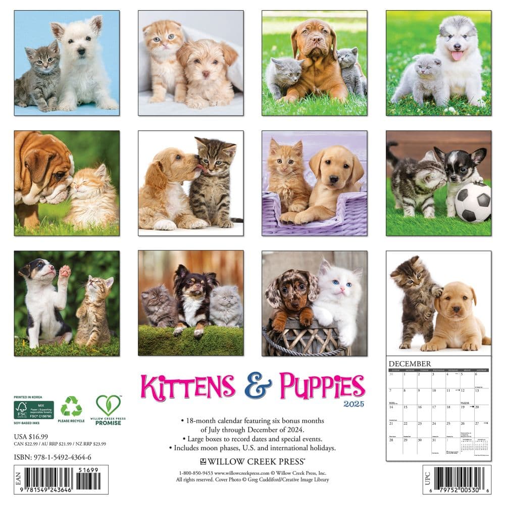 Kittens and Puppies 2025 Wall Calendar First Alternate Image width="1000" height="1000"