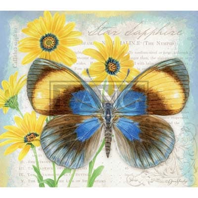 Butterflies 2022 Desktop Wallpaper - Calendars.com