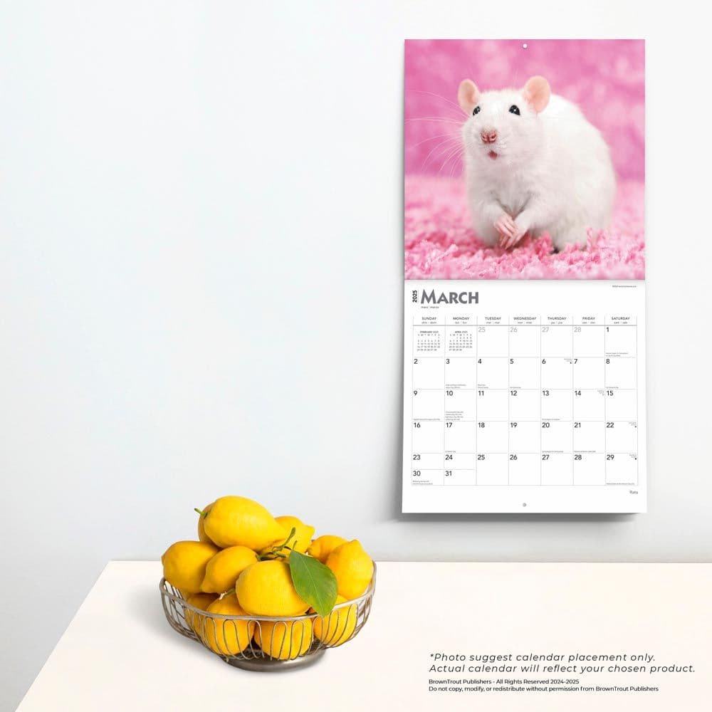 Rats 2025 Wall Calendar Fourth Alternate Image