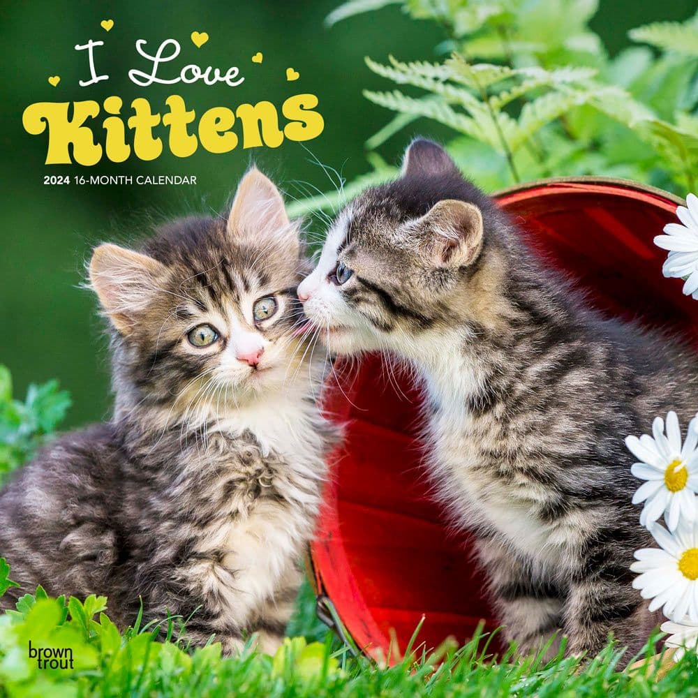 Kittens I Love 2024 Wall Calendar Main Image