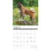 image Just Akitas 2026 Wall Calendar Second Alternate Image