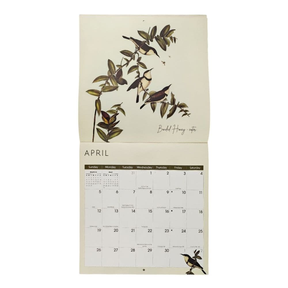 Birds 2026 Wall Calendar Sixth Alternate Image