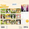 image Just Corgi Puppies 2026 Wall Calendar First Alternate Image
