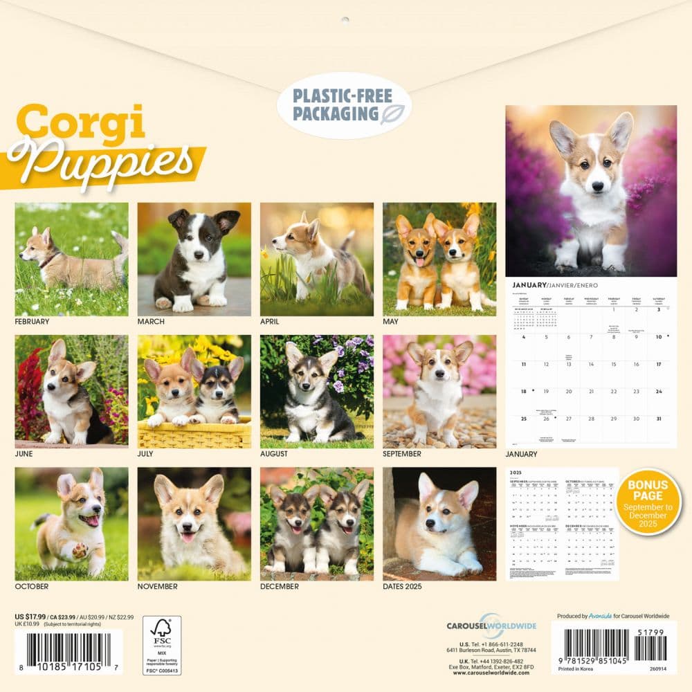 Just Corgi Puppies 2026 Wall Calendar First Alternate Image