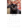 image Black Cats 2026 Wall Calendar Second Alternate Image