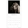 image I am Goat 2025 Wall Calendar First Alternate Image width=&quot;1000&quot; height=&quot;1000&quot;