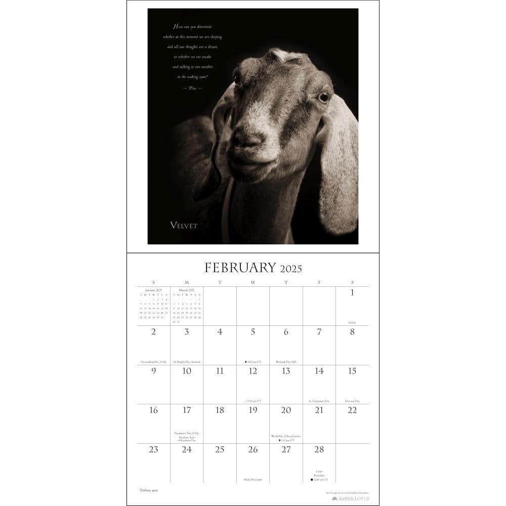 I am Goat 2025 Wall Calendar First Alternate Image width=&quot;1000&quot; height=&quot;1000&quot;