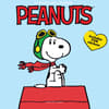 image Peanuts 2025 Mini Wall Calendar _Main Image