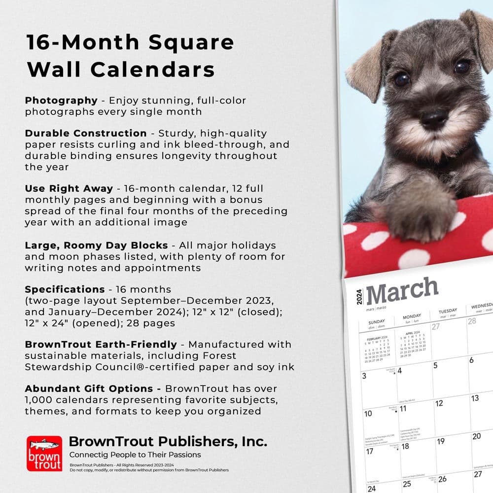 Schnauzer Puppies 2024 Wall Calendar Fourth Alternate Image width=&quot;1000&quot; height=&quot;1000&quot;
