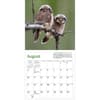 image Audubon Little Owls 2025 Mini Wall Calendar First Alternate Image width="1000" height="1000"