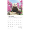 image Ferrets 2025 Wall Calendar