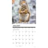 image Squirrels 2026 Wall Calendar Second Alternate Image