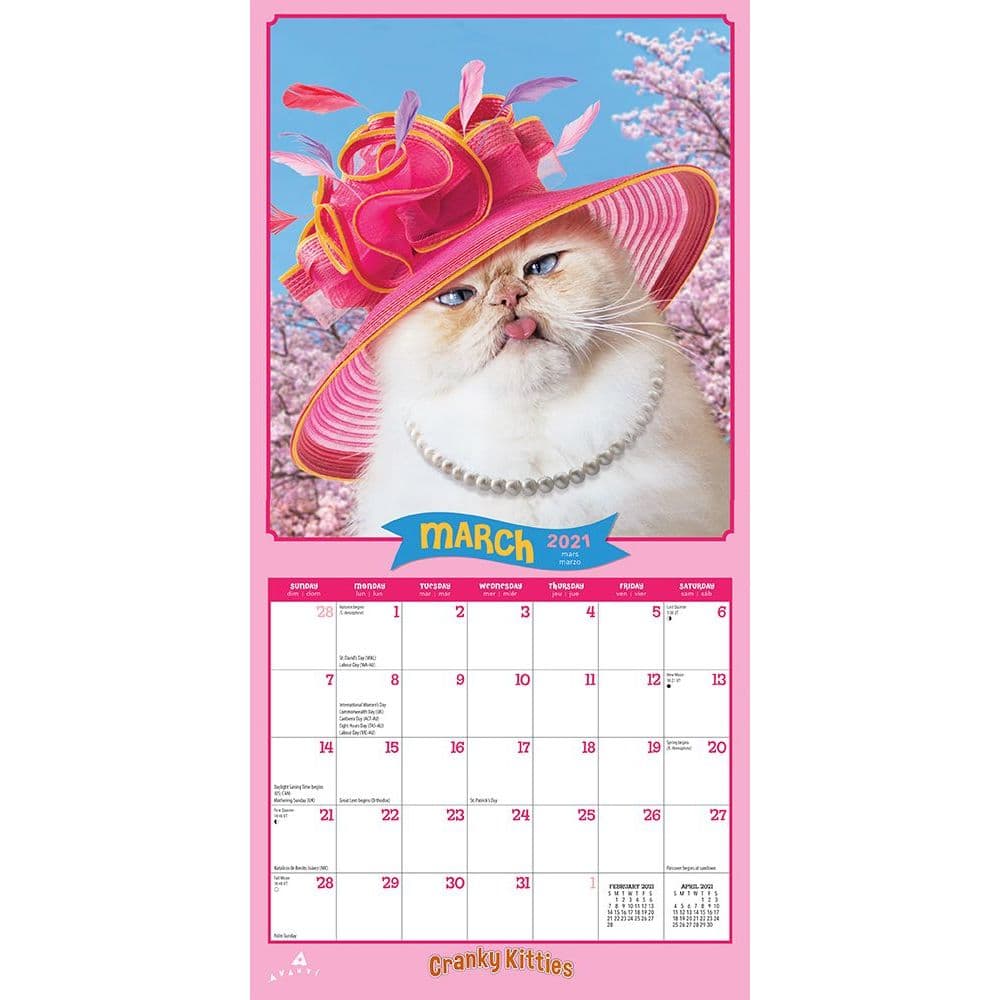 Cranky Kitties Avanti Mini Calendar