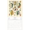 image World of John Derian 2026 Wall Calendar Third Alternate Image
