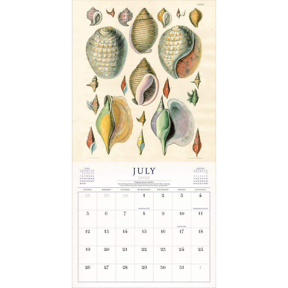 World of John Derian 2026 Wall Calendar Third Alternate Image