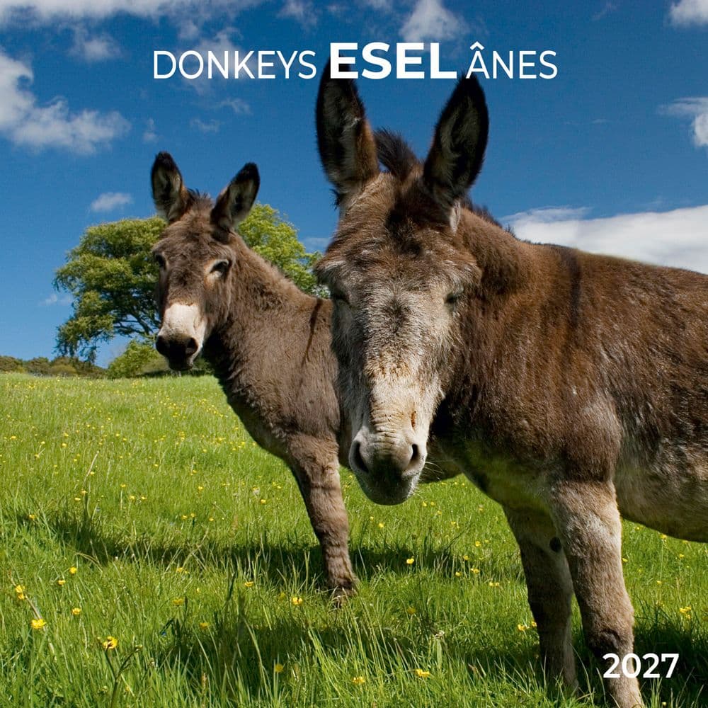 image Donkeys 2027 Wall Calendar Main Product Image