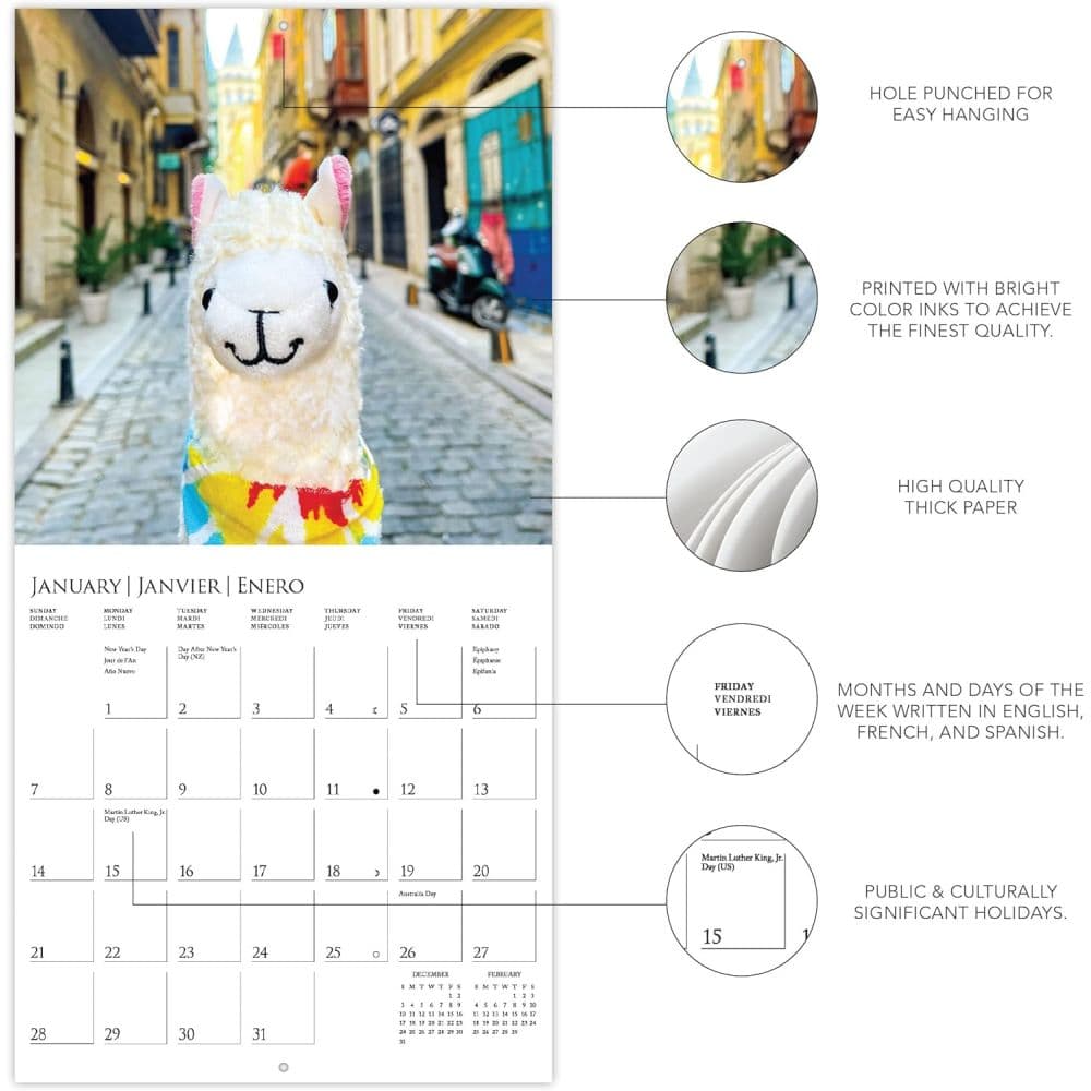 Llama with No Drama 2024 Mini Wall Calendar Fourth Alternate Image width=&quot;1000&quot; height=&quot;1000&quot;