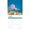 image Jellyfish 2024 Wall Calendar Second Alternate Image width=&quot;1000&quot; height=&quot;1000&quot;