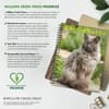 image What Cats Teach Us 2026 Engagement Planner Fifth Alternate Image