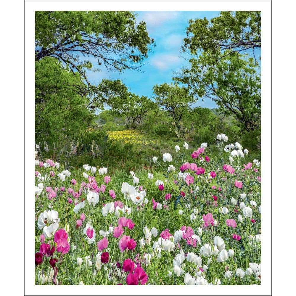 Sierra Club 2022 Wall Calendar - Calendars.com