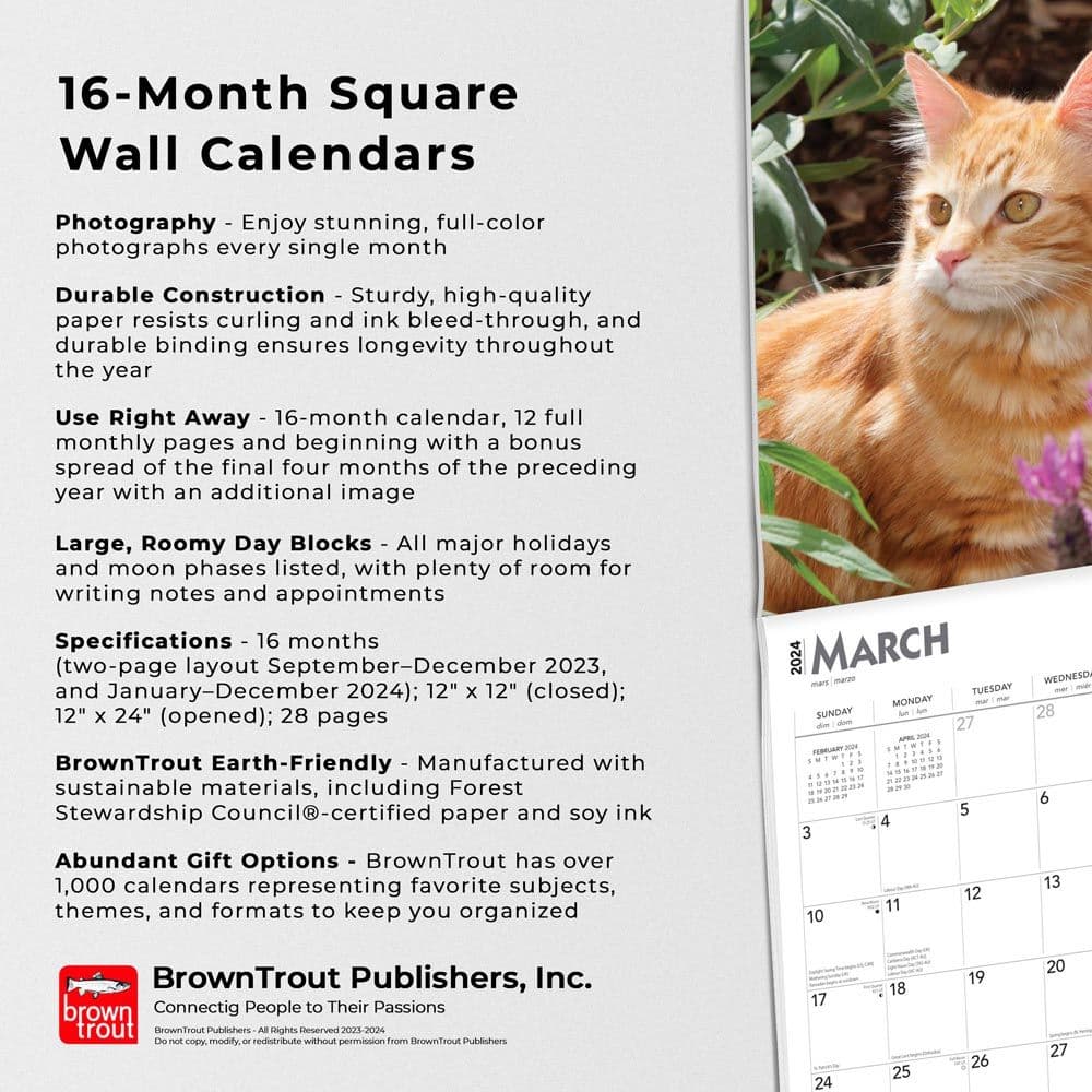 Ginger Cats 2024 Wall Calendar Fourth Alternate Image width=&quot;1000&quot; height=&quot;1000&quot;