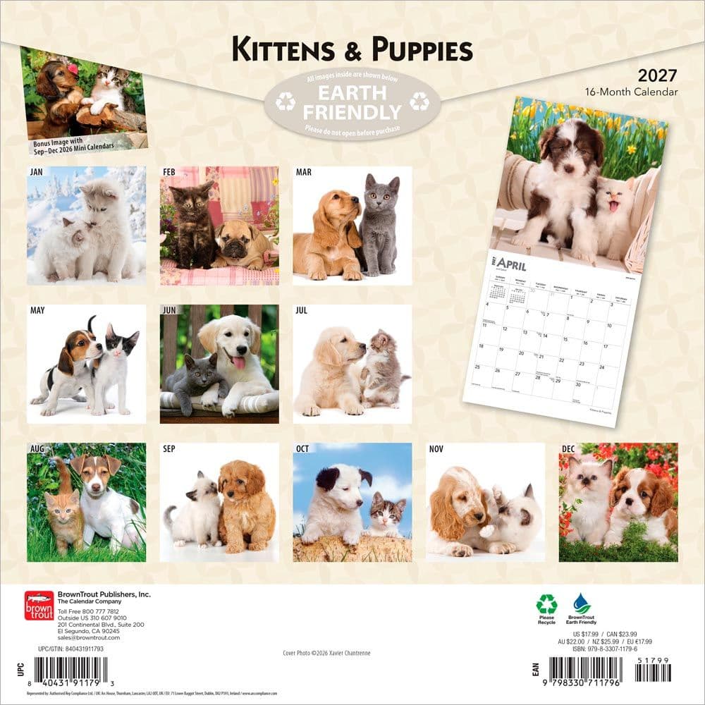 Kittens And Puppies 2027 Wall Calendar First Alternate Image