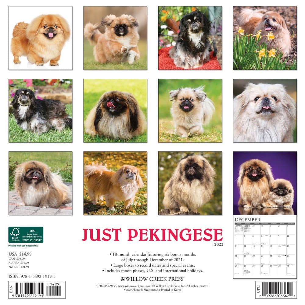Pekingese 2022 Wall Calendar - Calendars.com