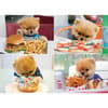 image Jiffpom 1000 Piece Puzzle Main Image
