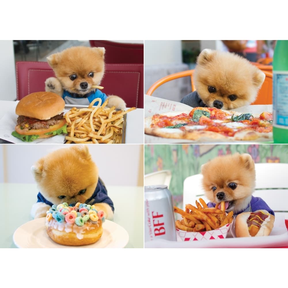 Jiffpom 1000 Piece Puzzle Main Image