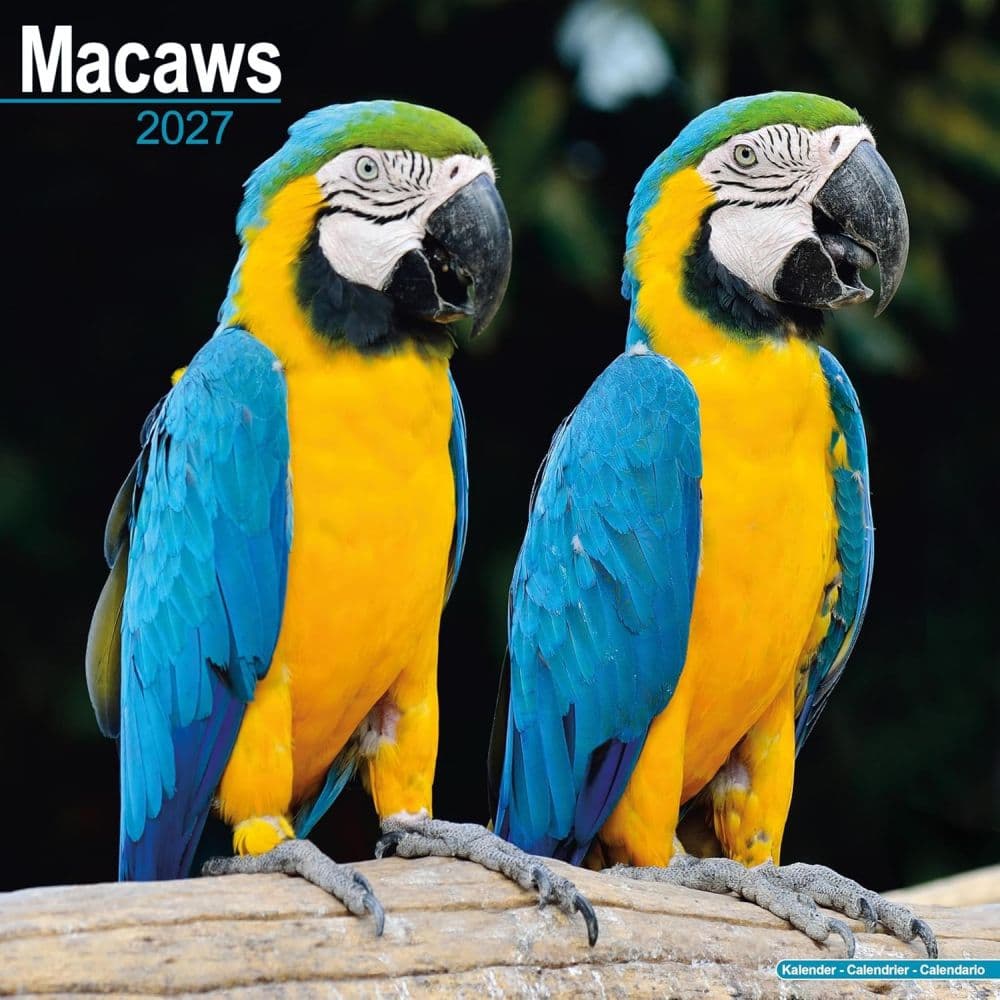 image Macaws 2027 Wall Calendar Main Product Image