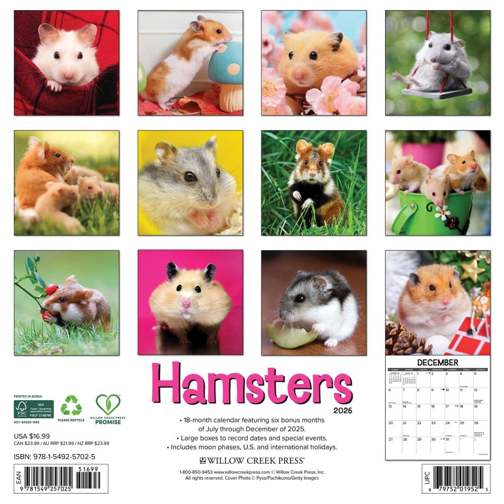 Hamsters 2026 Wall Calendar First Alternate Image