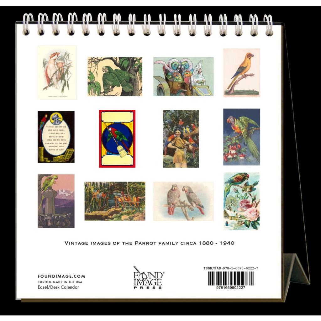 Parrots 2024 Easel Desk Calendar First Alternate Image width=&quot;1000&quot; height=&quot;1000&quot;