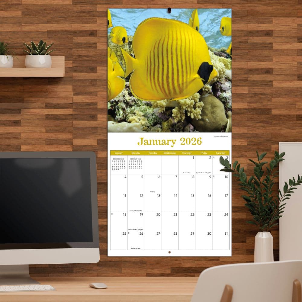 Sea Creatures 2026 Wall Calendar_ALT4