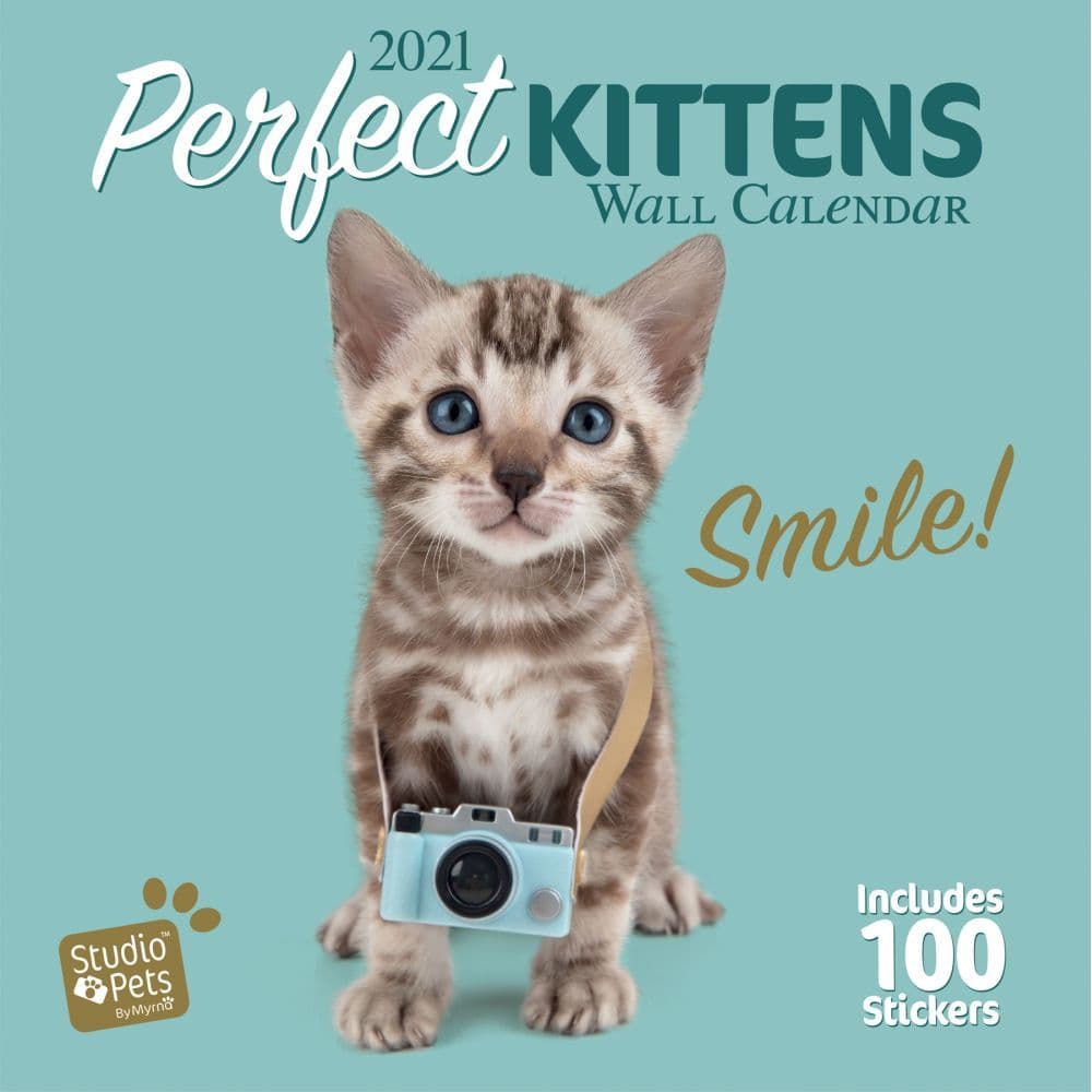 Studio Pets Kittens Wall Calendar