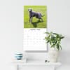 image Irish Wolf Hounds 2026 Wall Calendar Third Alternate Image