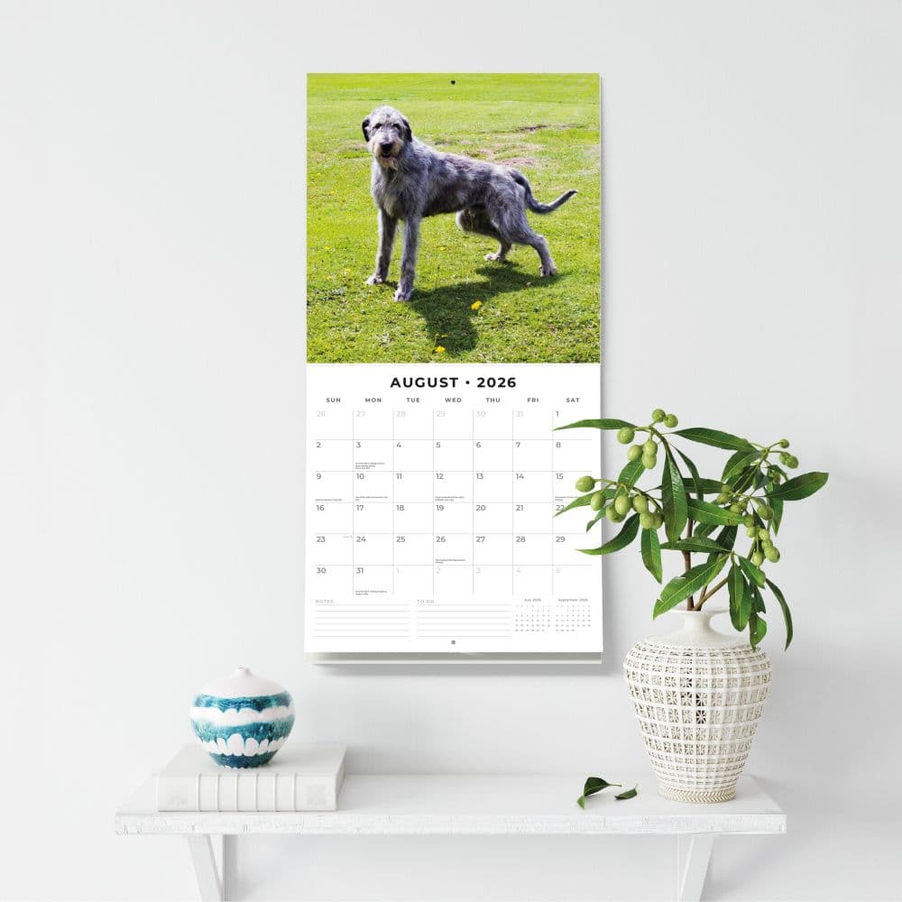 Irish Wolf Hounds 2026 Wall Calendar Third Alternate Image