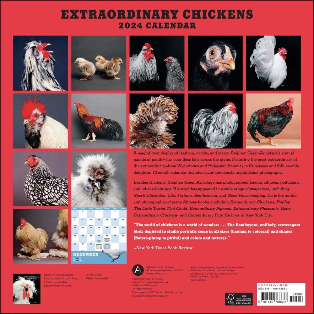 Extraordinary Chickens 2024 Wall Calendar