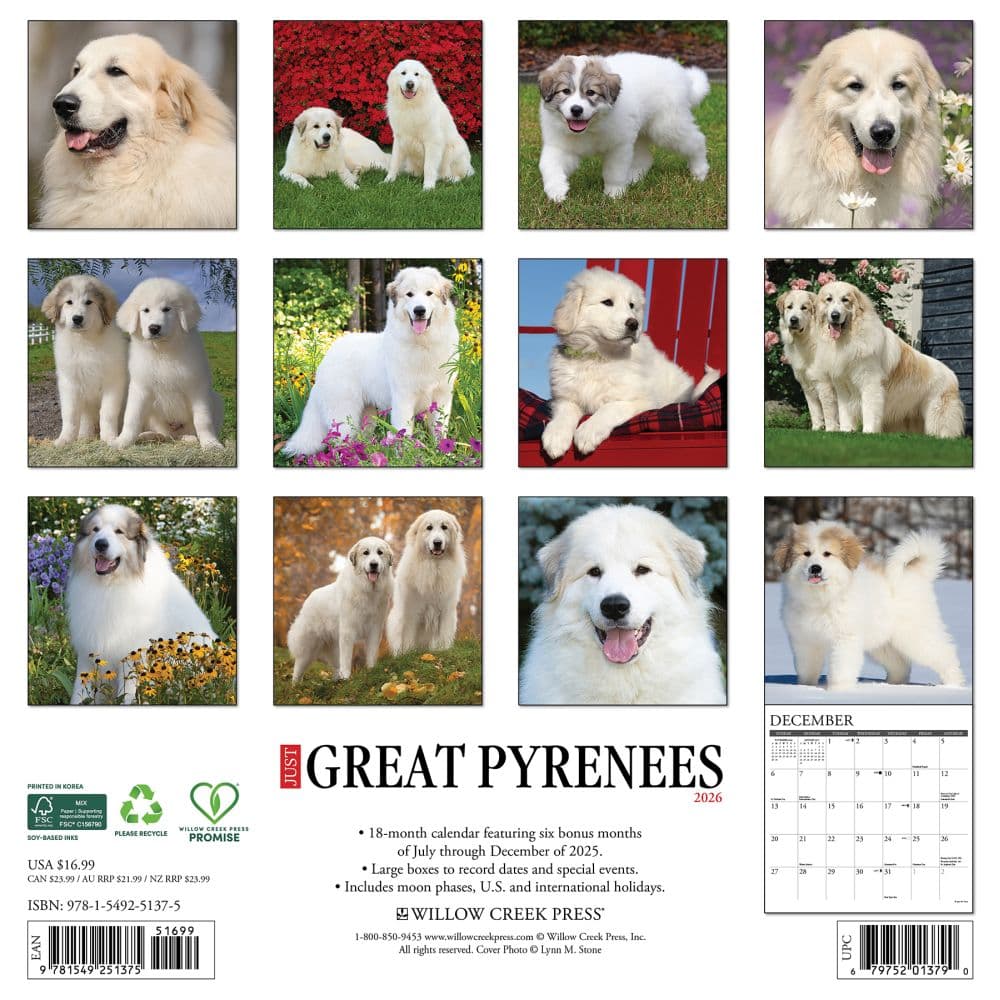 Great Pyrenees 2026 Wall Calendar First Alternate Image