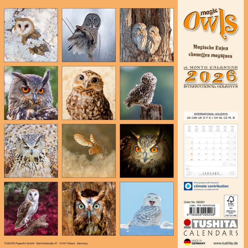 Magic Owls 2026 Wall Calendar First Alternate Image