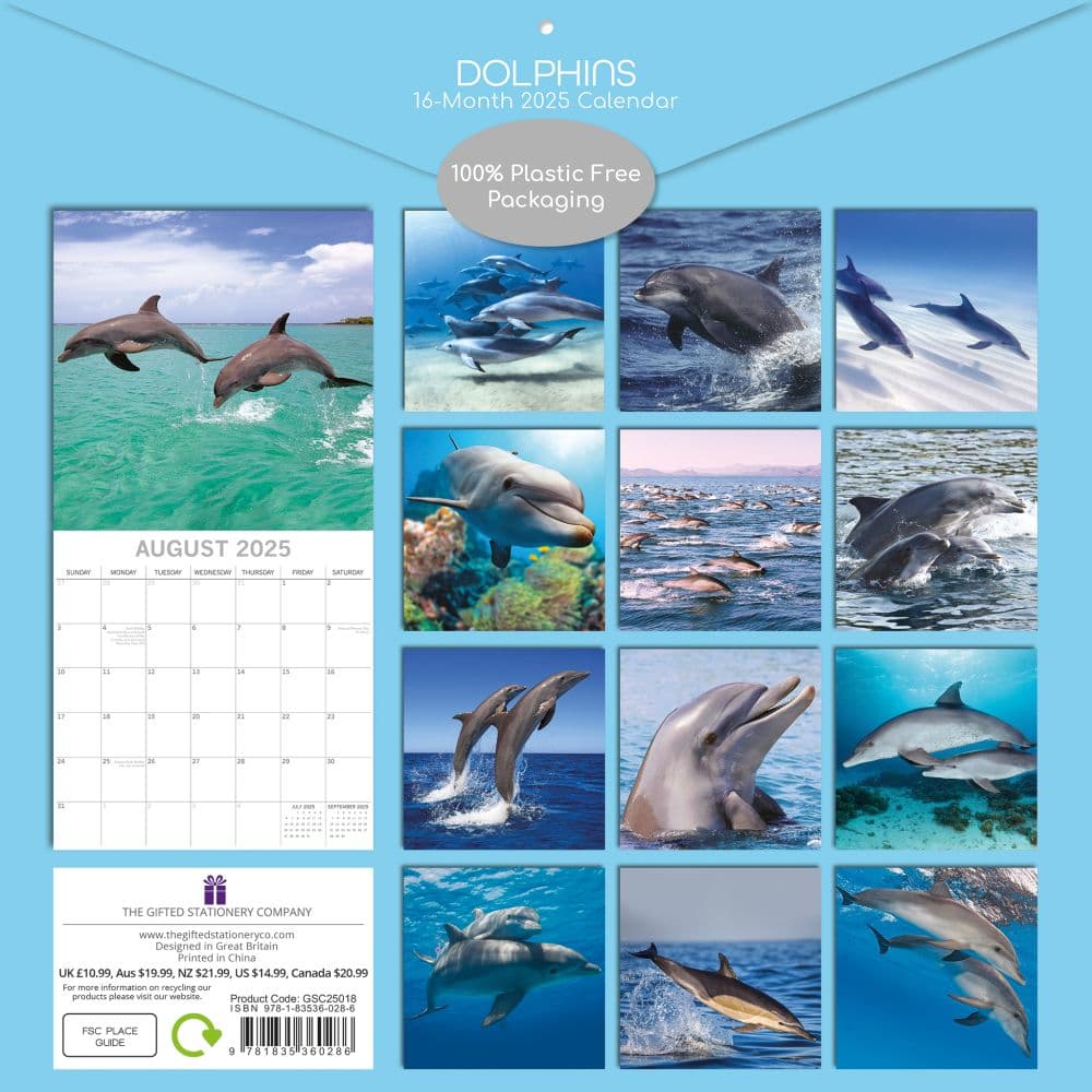 Dolphins 2025 Wall Calendar First Alternate Image width=&quot;1000&quot; height=&quot;1000&quot;