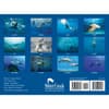 image Sharks 2025 Wall Calendar Alt1