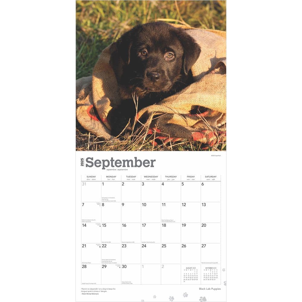 Black Lab Retriever Puppies 2025 Wall Calendar Third Alternate Image width=&quot;1000&quot; height=&quot;1000&quot;