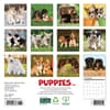image Puppies 2026 Wall Calendar